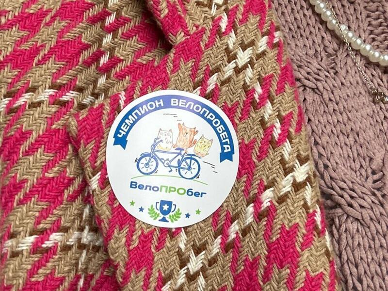 Чемпион Велопробега